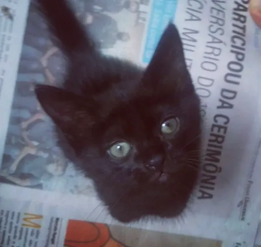 Doa se gata