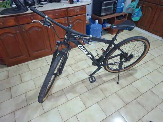 BIKE ARO 29