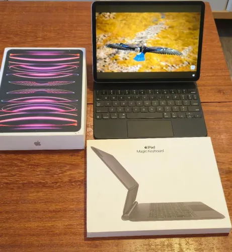 iPad Pro (11 polegadas) 4° Geração chip M2 128GB modelo A2759 