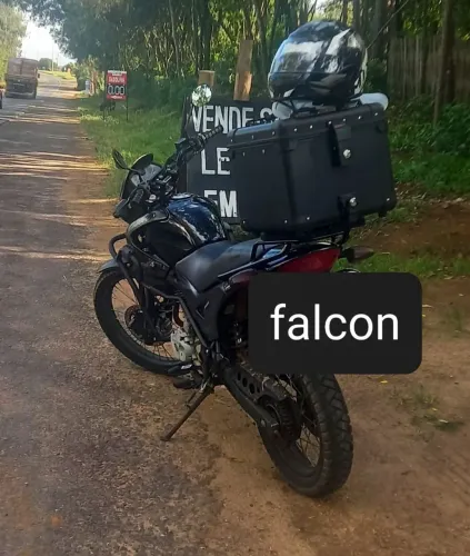 TORRO FALCON