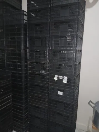 Lote de Caixas Plásticas para Hortifrúti