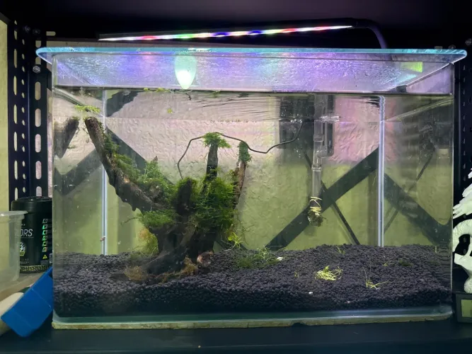 Aquario ocean tech 