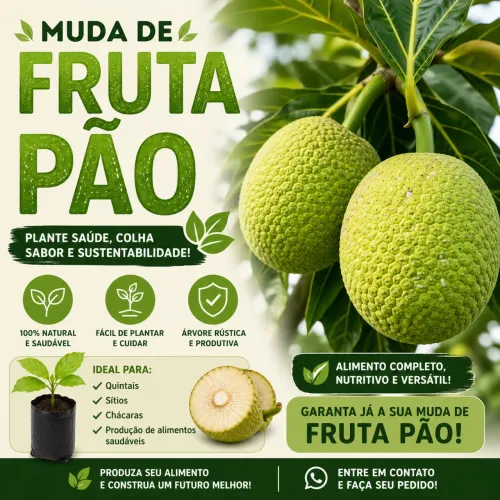 Fruta Pão - Mudas Enxertadas 