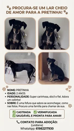 Cachorrinha dócil!!