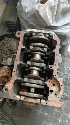 Motor MD 1.6