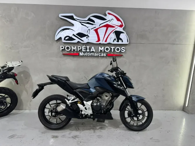 Honda Cb 300F Twister Flex