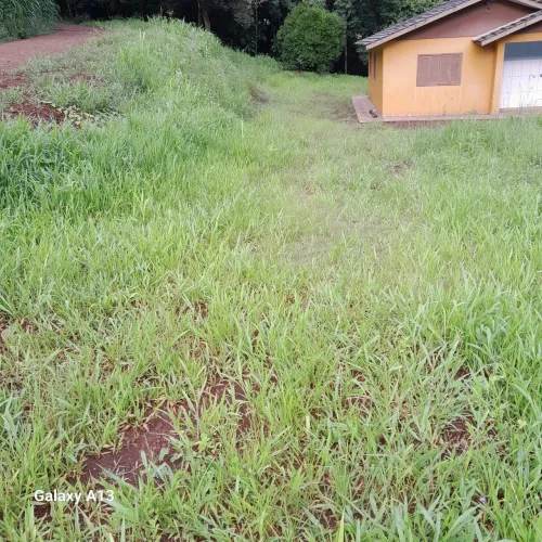 VENDO CHÁCARA EM DIONÍSIO CERQUEIRA, JORGE LACERDA LINHA SECA