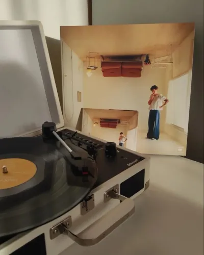 vinil harry styles harry hause preto