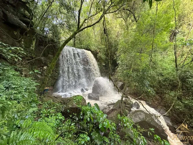 Área de terra com 80.000 m². Linha Temerária, Nova Petrópolis RS! REF: 1302