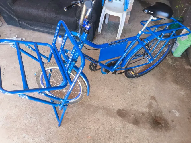 Bicicleta cargueira
