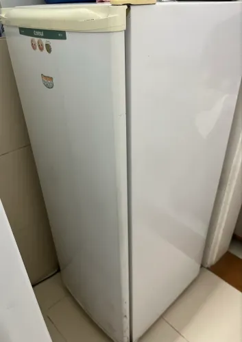 Freezer vertical