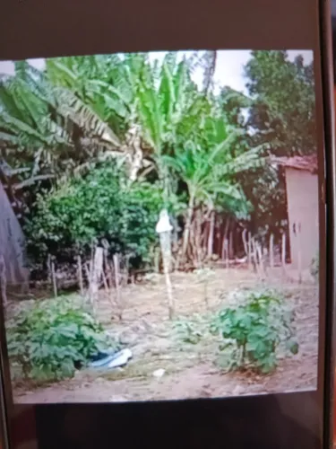 Vende um terreno