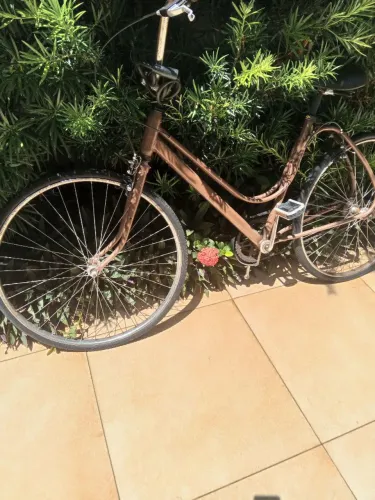 Bicicleta antiga