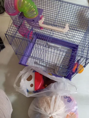 Gaiola hamsters