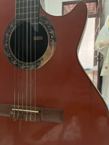 VIOLÃO giannini fiber ovation