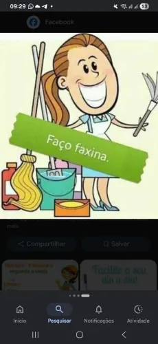 Sou diarista 