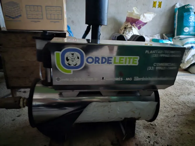 Ordenha de balde ao pé