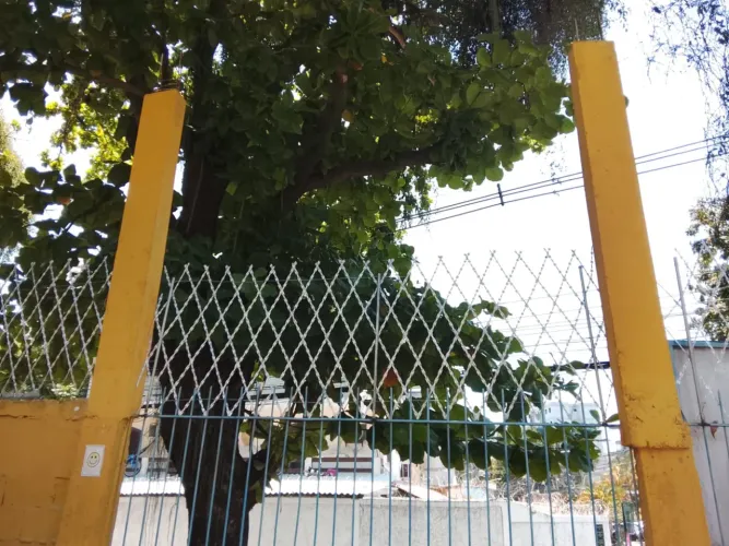 Rede Laminada para Chácaras, Lotes e Terrenos