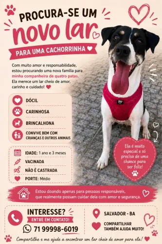 PROCURA-SE UM NOVO LAR 