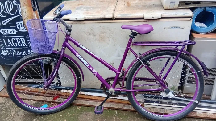 Bicicleta feminina