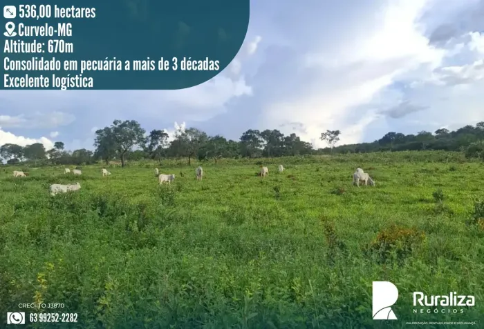 428 HA EM PASTAGEM | 150 HA AGRICULTÁVEIS | CURVELO-MG