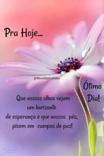 Cozinheira