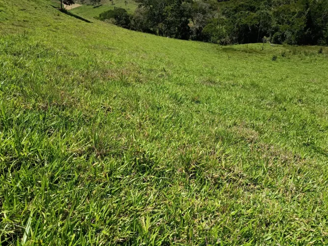 TERRENO RURAL A VENDA EM CUNHA - SP.
