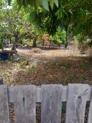 Vende se esse terreno medindo 12 por 25 no município do cantá