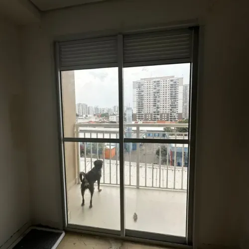 Porta de Vidro Apartamento Nova