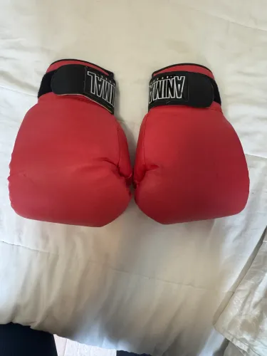 Luva boxe