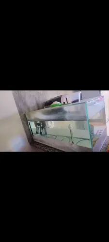 Aquário com bomba e aquecedor 