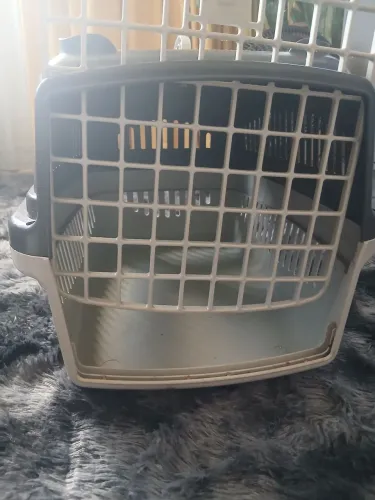 Casinha pet