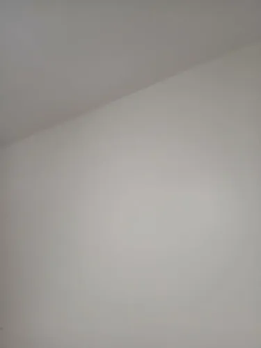 Pintor profissional faça seu orçamento de graça 