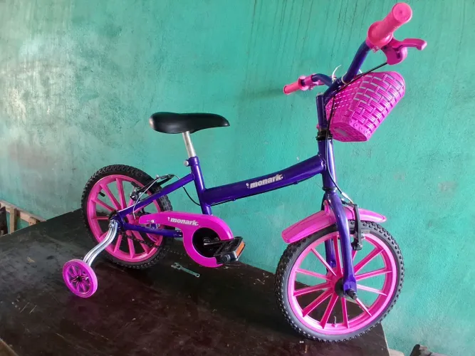 Bicicleta