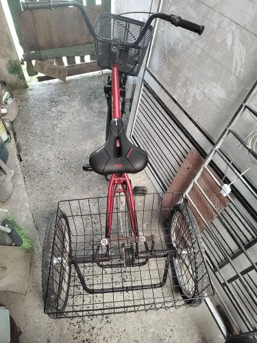 Triciclo semino 
