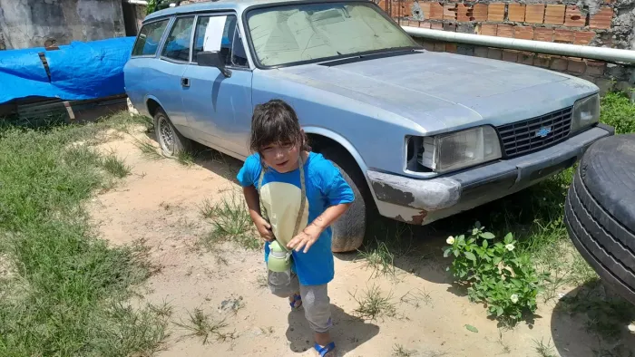 Chevrolet Caravan Comodoro 4.1/2.5 1982