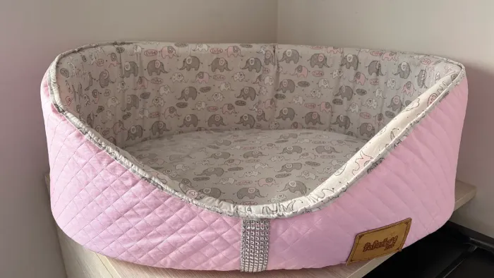 Caminha para Pet 