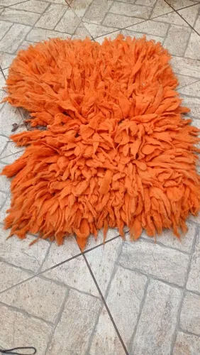 Cochinilho pra arreio 
