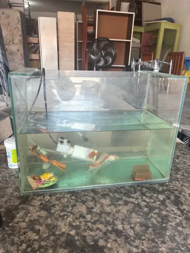 Áquario completo , já com alguns peixinhos dentro.