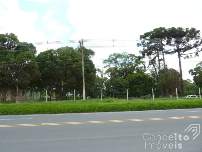 Terreno de 1.342,73m² Rodovia BR-376 - Bairro Piriquitos