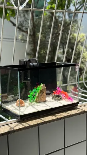AQUÁRIO 40 LITROS NOVO