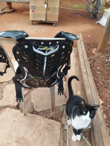 Vende se um colete é um cotoveleira para motocross 