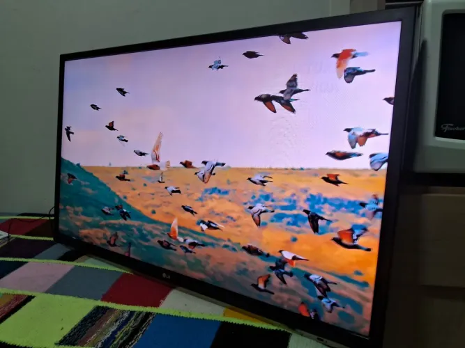 TV 47 POLEGADAS DIGITAL LG ENTREGA INCLUÍDA