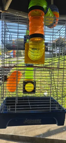 Gaiola Hamster
