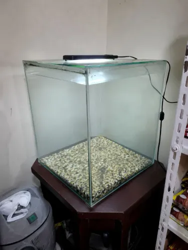 Aquario decorativo para peixes ornamentais com mesa quadrada inclusa