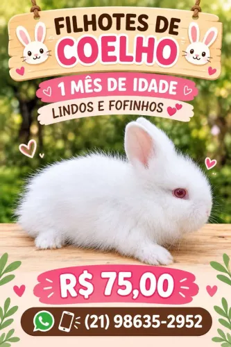 Coelhos