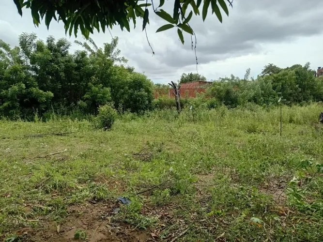 Vendo terreno 10x20 