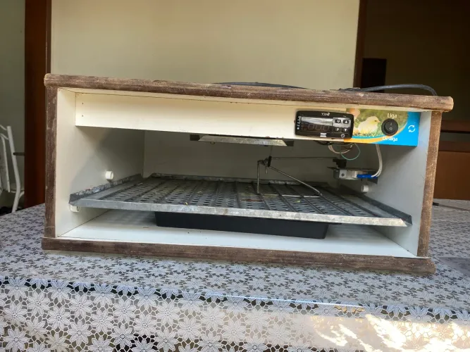 Chocadeira de rolagem automático