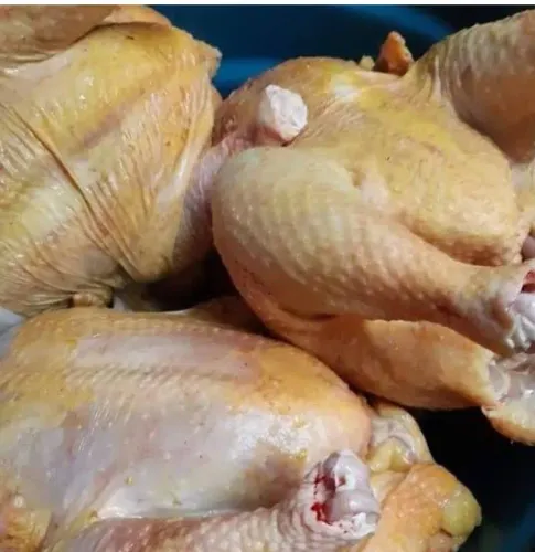 ? Frango Caipira Limpo - Preço Bom e Qualidade