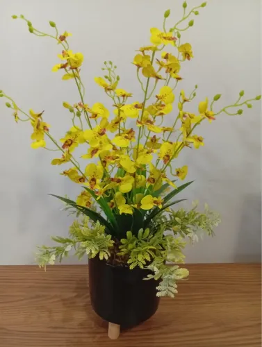 Arranjo de orquídeas chuva de ouro